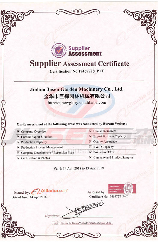 Alibaba Supplier Assessment Certificate