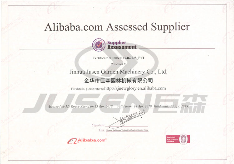 Alibaba Assessed supplier