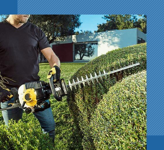 Man trims green bushes with yellow hedge trimmer